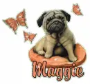 Maggie~Dog