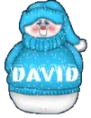 snowman with name david on it