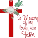 In Memory of my loving son Hector