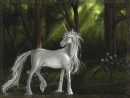 white unicorn