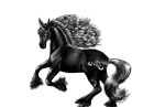 Black unicorn