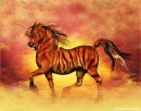 tiger skin