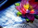 music and flower