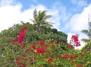 tree & flowers
