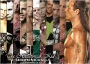 shawn michaels