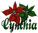 Christmas flowers Cynthia