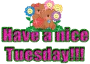 Have a nice Tuesday!!!