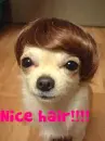 nice hair!