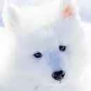aww how cute..