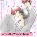 Harry and the Weasley Twins
