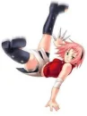 sakura