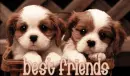 best friends