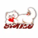 kitty