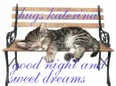good night