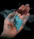 fairy