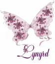 Lynyrd
