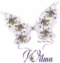 Wilma