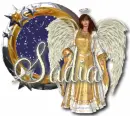 Sadia