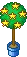 star plant