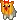 yorkie