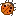 lady bug
