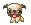 pug