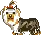 yorkie