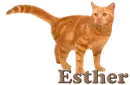 Esther