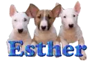 Esther
