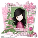 No peekin' till X-mas! .. Suz