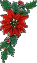 Boughs of Holly
