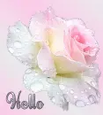 Hello