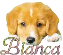 Bianca