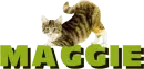 Maggie 