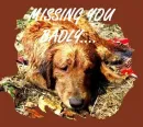 missing you
