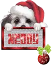 Neddy