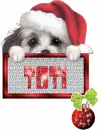 Toti
