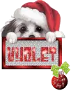 Vyolet