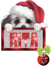 Rita