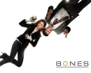 bones