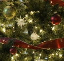 Christmas Tree!!! <3