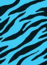 blue zebra