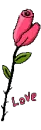 love rose