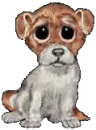 a sad dog