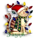 fayeth's cat with lights