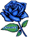 bridget's blue rosa