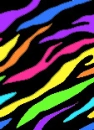 Zebra. (: