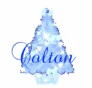 Colton Blue Christmas Tree