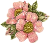 glittering flowers