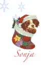 Dog Stocking